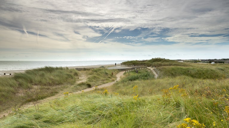 A view from the top of the sand dune at Sandilands, looking out towards the North Sea.